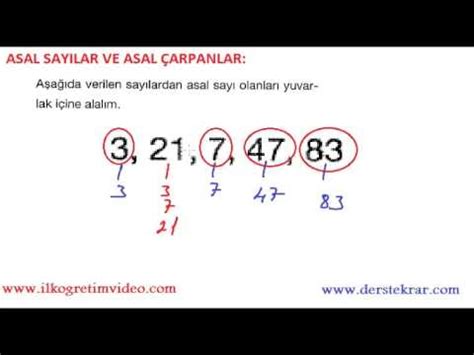 asal sayılar konu anlatımı video